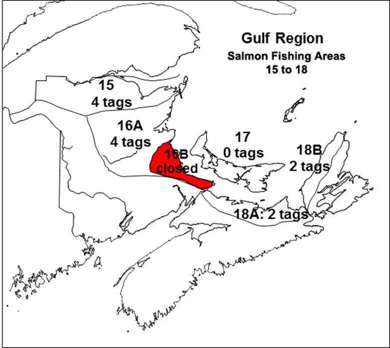 778x694 Science Overview Salmon