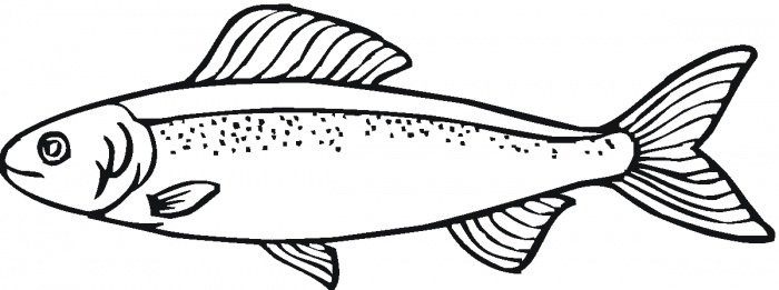 700x261 Printable Pictures Of Salmon Printable Animal Coloring Page