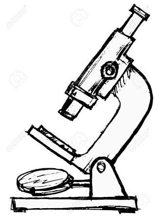 332x443 Sketch Microscope Atm