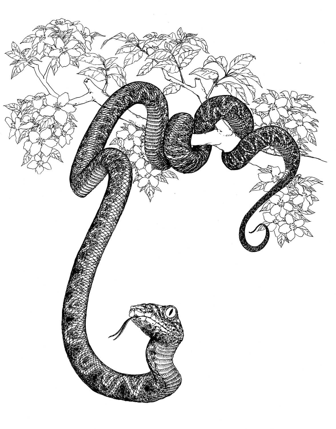 1176x1500 Chrisse Kunst