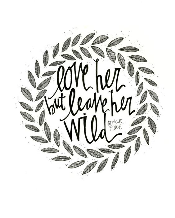 Atticus Finch Drawing