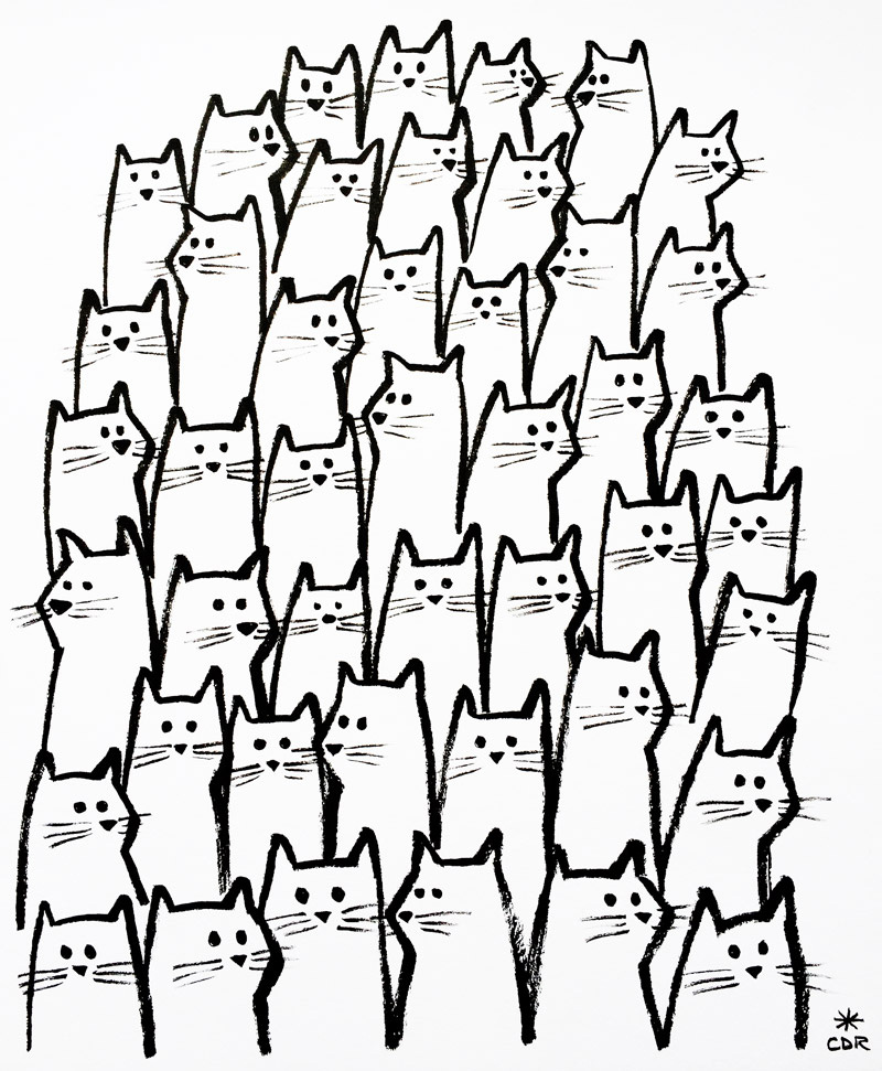 800x971 The Audience Christopher David Ryan Kitty Cat Klub