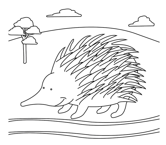 700x612 Australian Animal Template