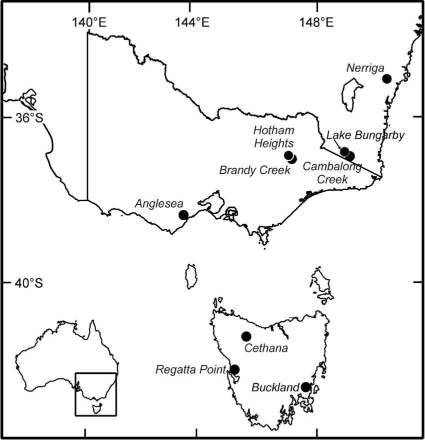 850x879 Of South Eastern Australia, Showing Fossil Sites Mentioned In
