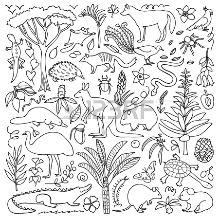 450x450 Illustration With Australian Animals And Plants Royalty Free