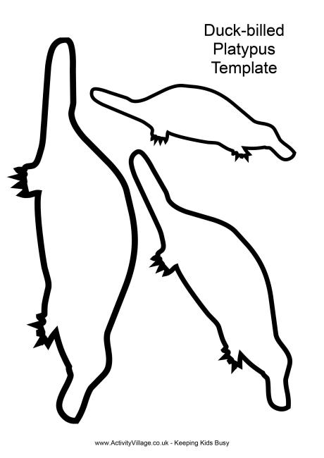 460x650 Australian Animal Templates