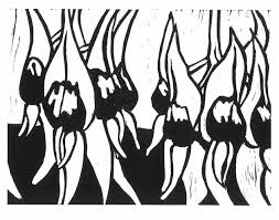 253x199 Australian Native Flower Line Drawing