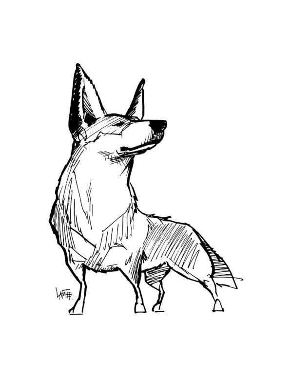 599x776 Australian Cattle Dog Gesture Sketch Art Print By John Lafree
