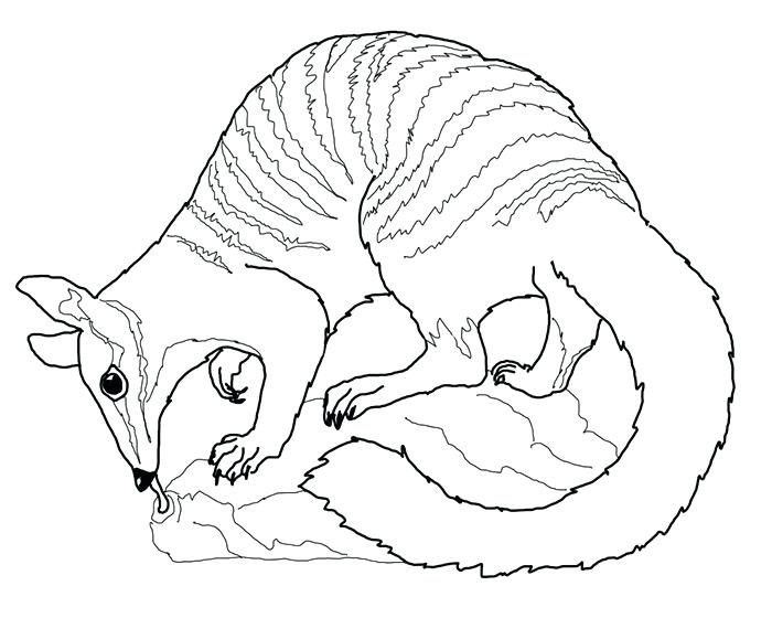 700x560 Australian Coloring Pages Coloring Pages Day Opera House During