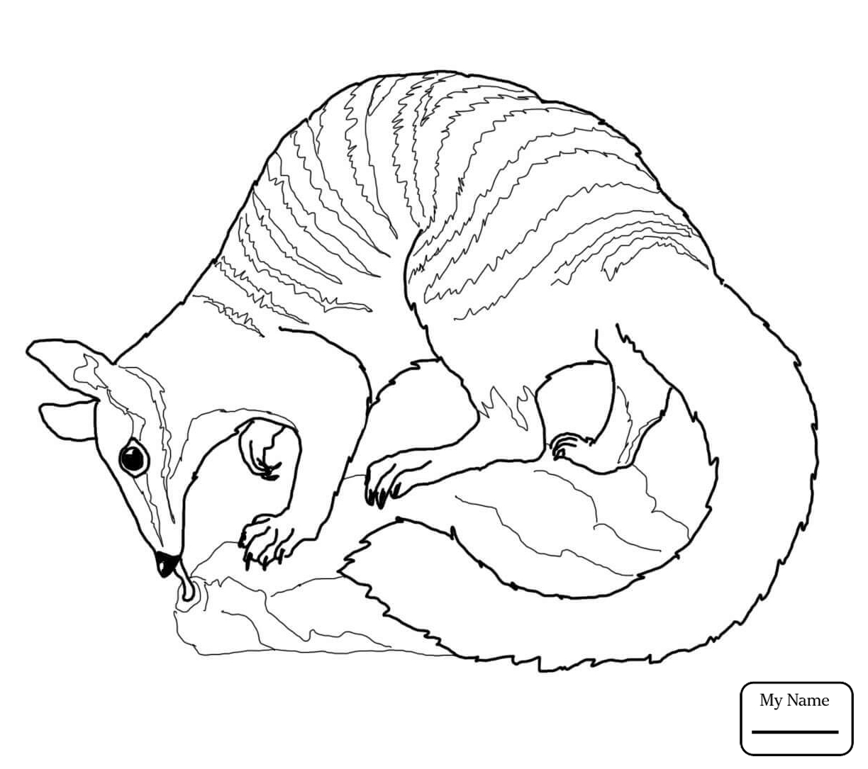 1224x1085 Australia Australian Flag Countries Cultures Coloring Pages