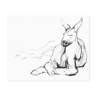 324x294 Australia Day Craft, Clipart, Sketch, Drawing, Printable Card