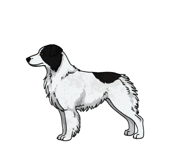 400x300 Furry Paws Dog Breed Colors Miniature Australian Shepherd Colors