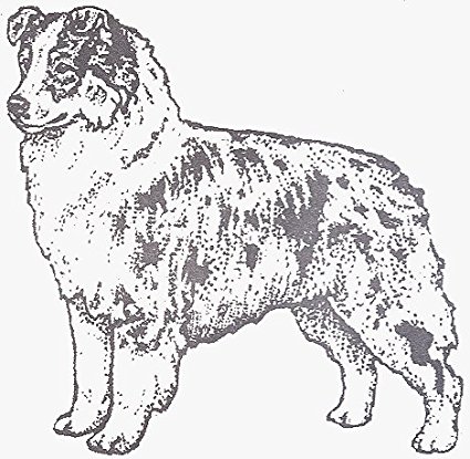 425x415 Dog Rubber Stamp