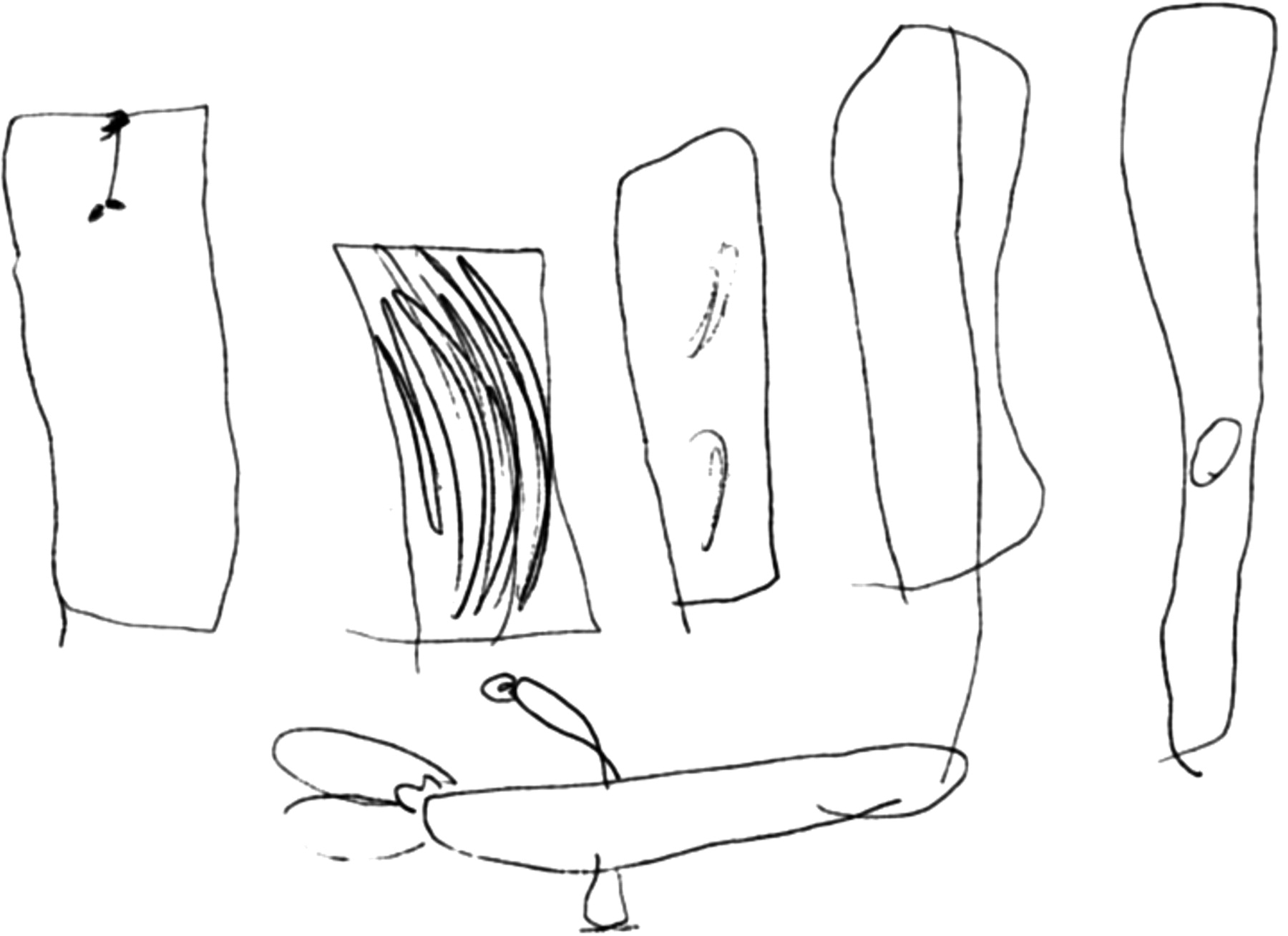 1800x1308 Autism Drawing Skills Precocious Realists Perceptual