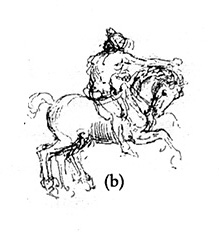 219x232 Visual Acuity Neurontic