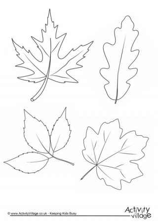320x452 Autumn Leaves Colouring Page Coloring Pages Autumn