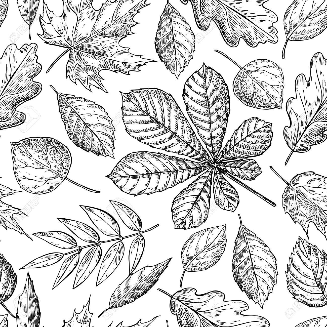 1300x1300 Seamless Vector Pattern With Autumn Leaves. Hand Drawn Detailed