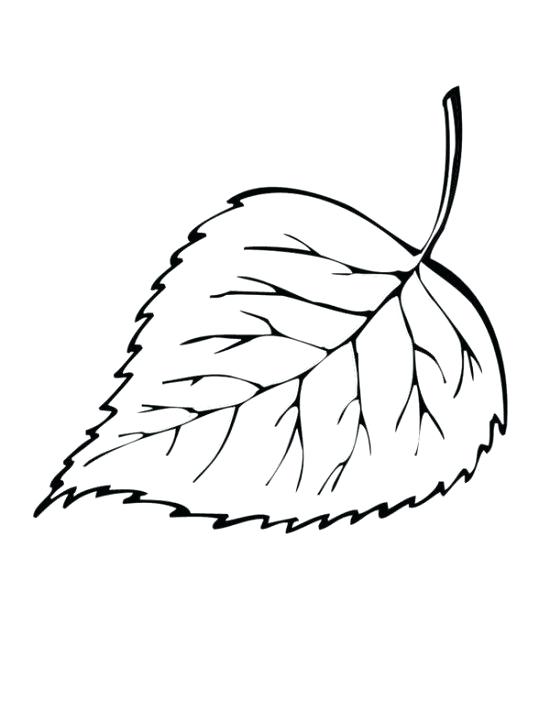 550x711 Leaf Coloring Fall Maple Leaf Coloring Page Palm Leaf Coloring