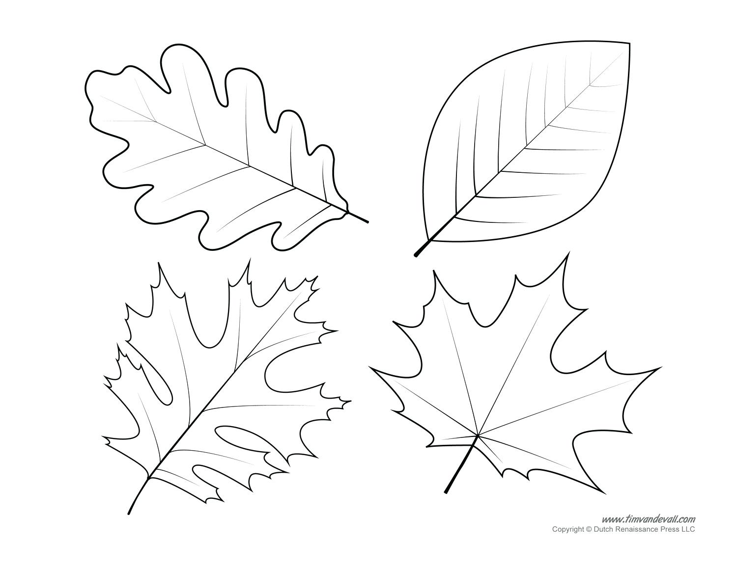 1500x1159 Printable Autumn Leaf Maze Printable