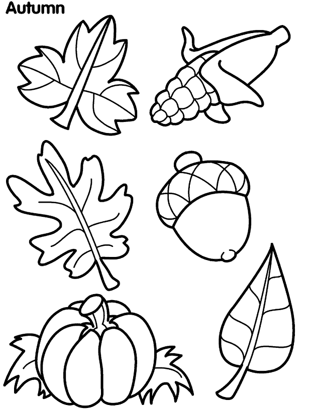 643x815 Autumn Leaves Coloring Page