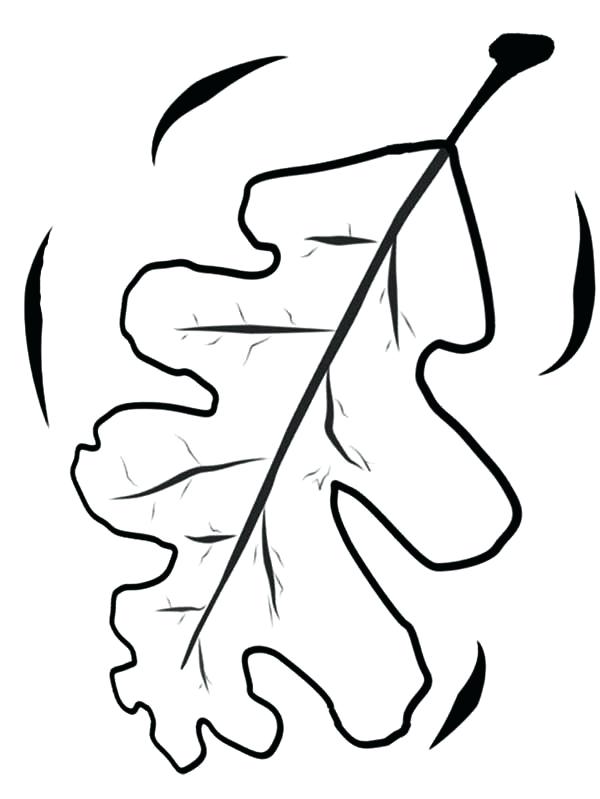 600x799 Coloring Pages Of Fall Leaves Oak Autumn Leaf Coloring Page Free