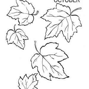 300x300 Drawing Autumn Leaves Coloring Pages Drawing Autumn Leaves