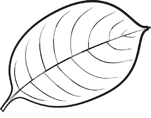 600x470 Leaf Coloring Picture Leaf Color Pages Coloring Pages Autumn