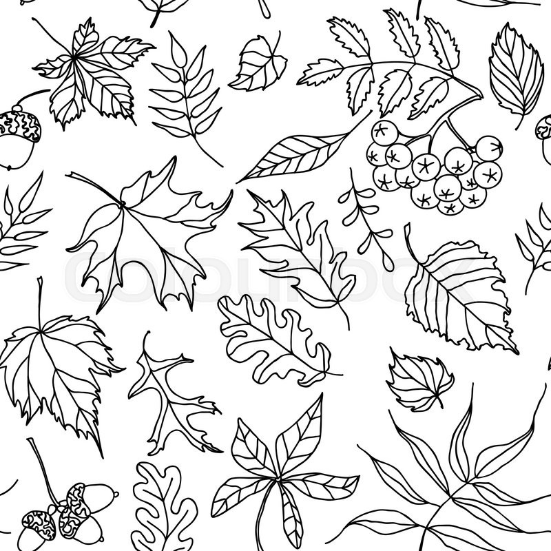 800x800 This Seamless Pattern Of Blacknd Whiteutumn Leaves Will Make