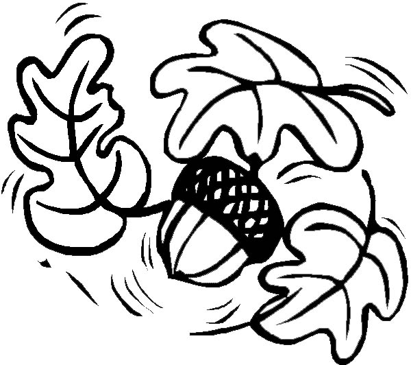 600x532 Autumn Leaves And Pine Fruit Coloring Page Color Luna