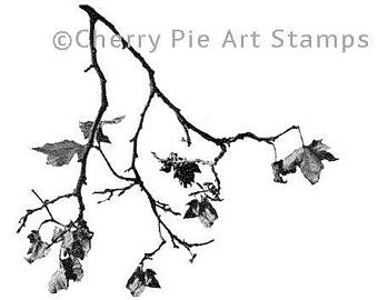 340x270 Autumn Tree Etsy