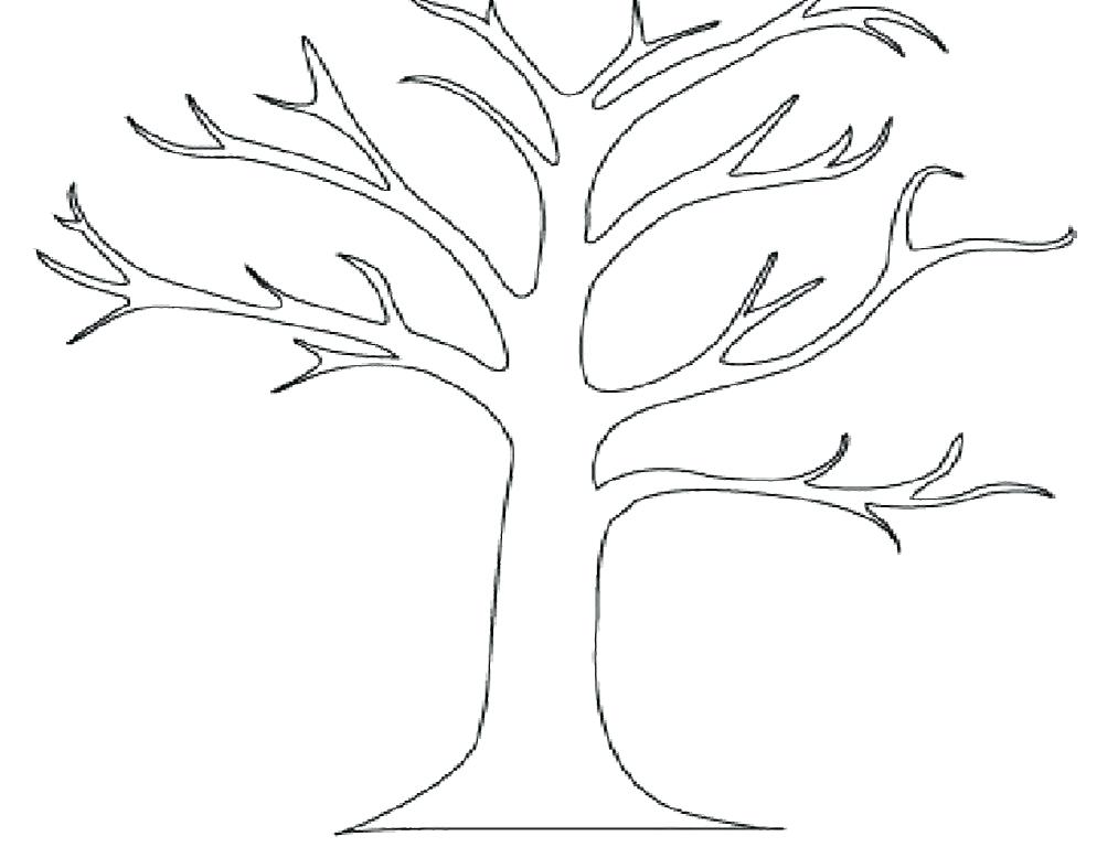 1013x768 Coloring Pages Trees Plants And Flowers As Inspiring Coloring Book