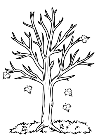339x480 Fall Tree Coloring Page Free Printable Coloring Pages
