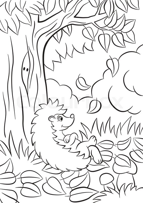 566x800 Coloring Pages. Little Cute Kind Hedgehog Sits Near The Tree. Its