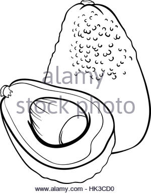 300x386 Black And White Cartoon Illustration Of Avocado Fruit Food Object