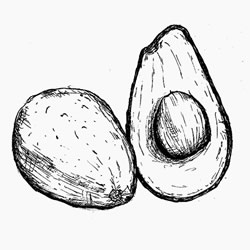 250x250 Avocado, Coldpressed For Purity And High Mineral Content By