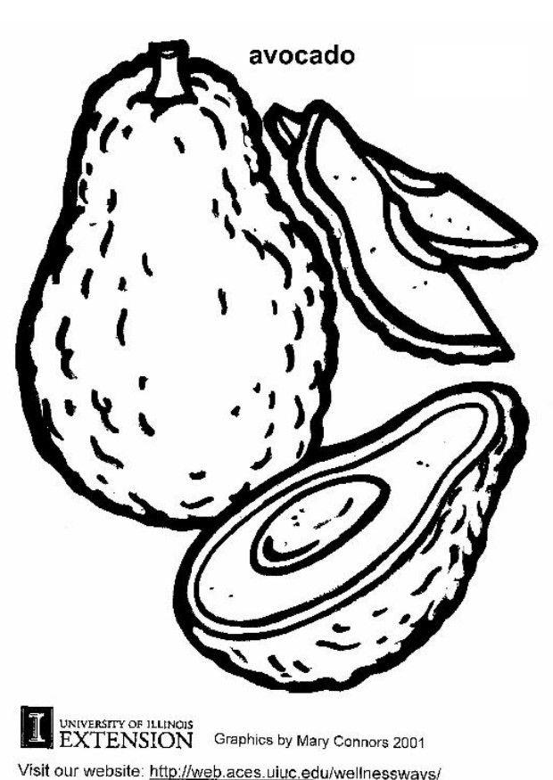 620x875 Coloring Page Avocado