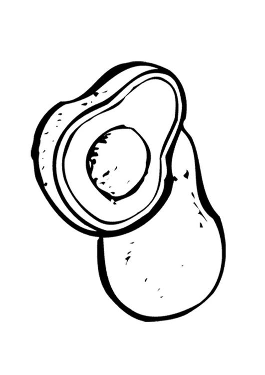 531x750 Coloring Page Avocado