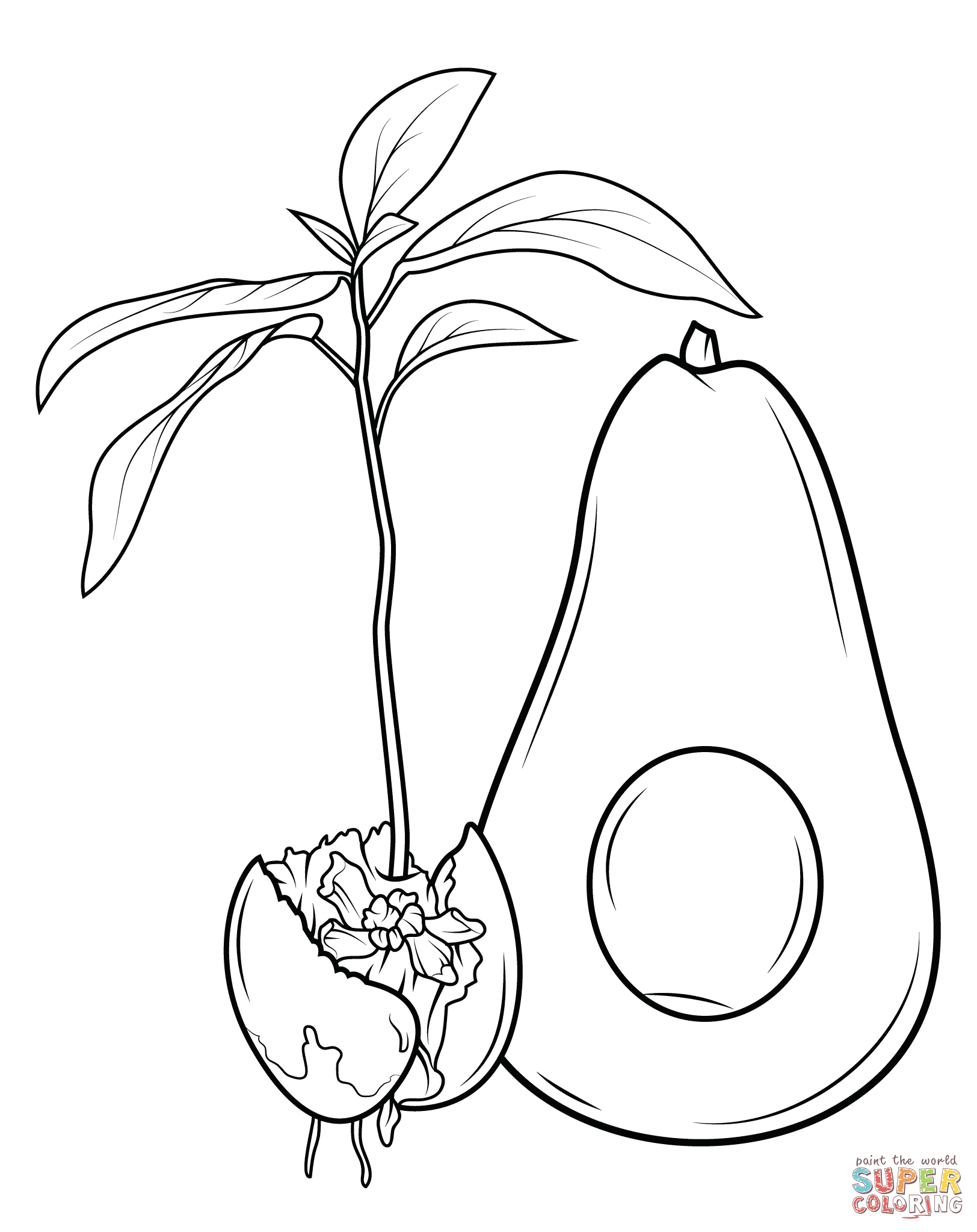 1624x2046 How Avocado Grows Coloring Page Free Printable Coloring Pages