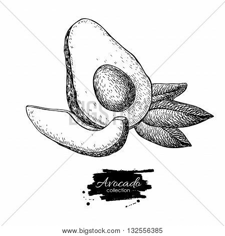 449x470 Vector Hand Drawn Avocado Sliced Vector Amp Photo Bigstock