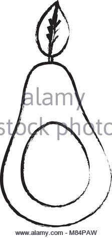 223x470 Avocado Healthy Nutrition Sketch Stock Vector Art Amp Illustration