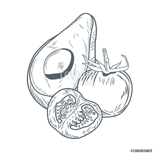 500x500 Avocado And Tomato Hand Draw Icon Vector Illustration Graphic