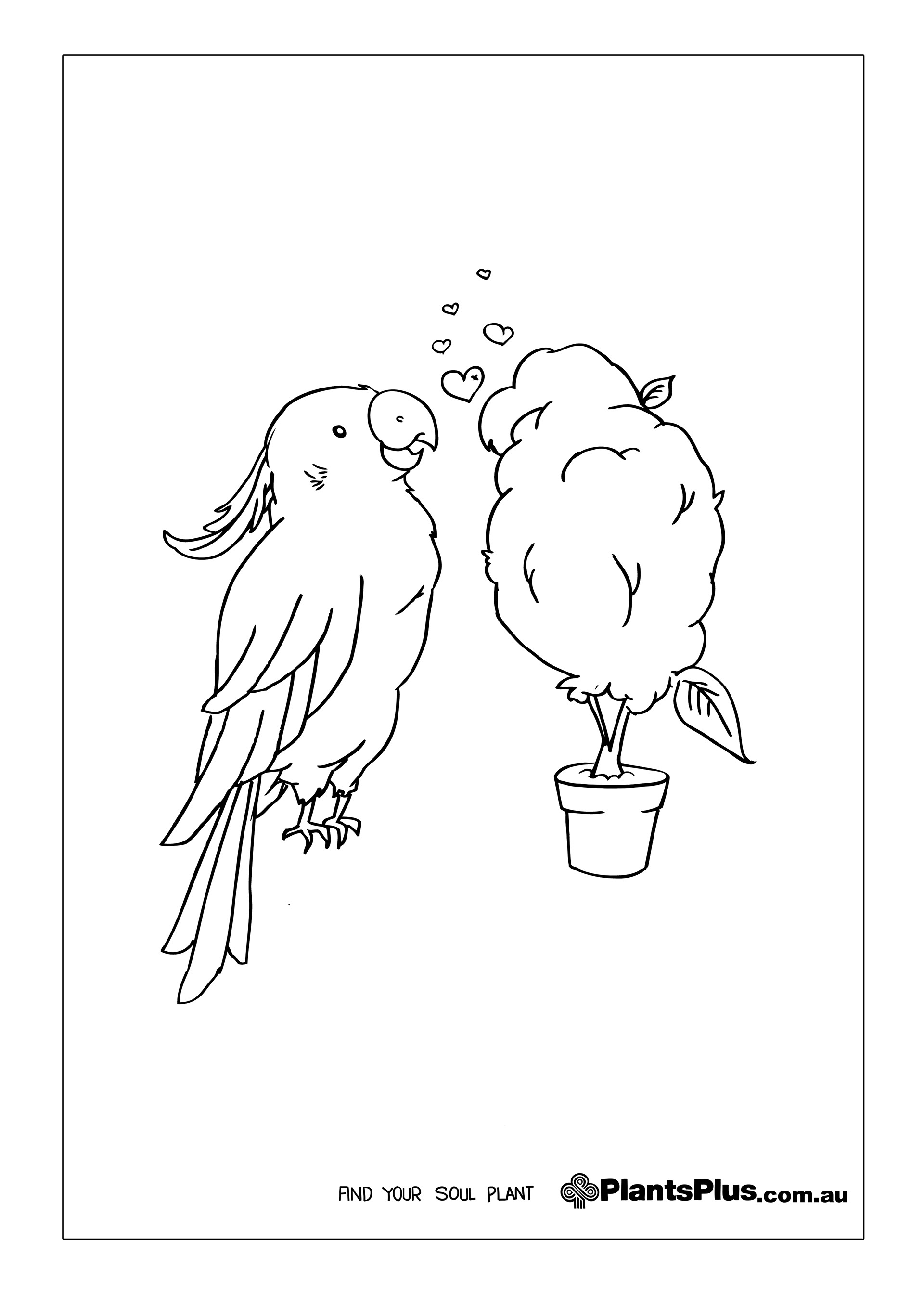 1920x2715 Charli Lin