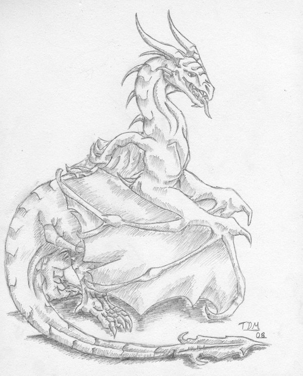 600x744 Pencil Dragon I By Thedragonmystic