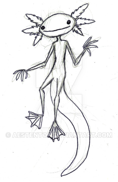 400x620 Axolotl By Aestenton