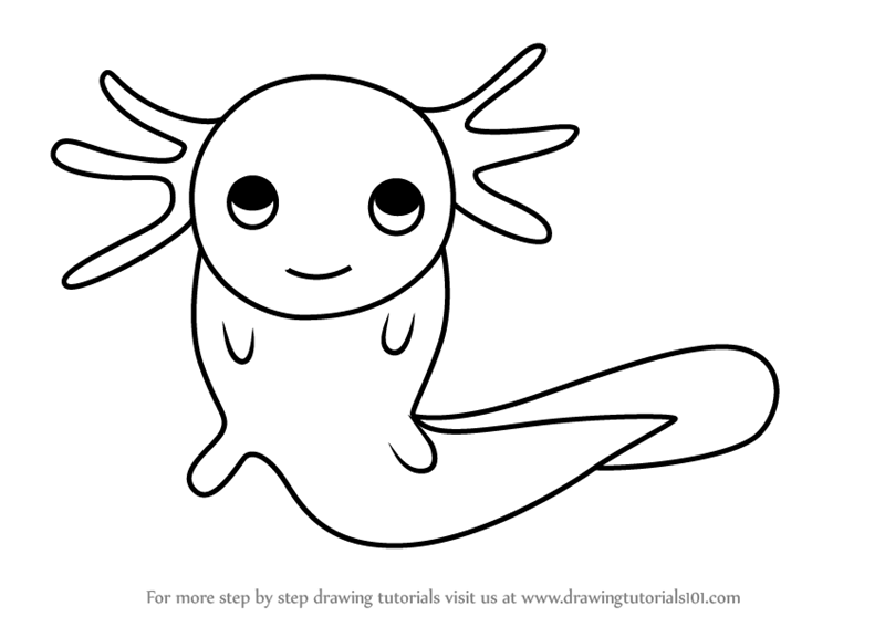 800x567 Learn How To Draw An Axolotl For Kids (Animals For Kids) Step By