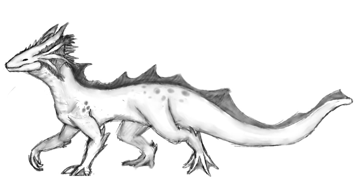 1217x657 Axolotl Dragon