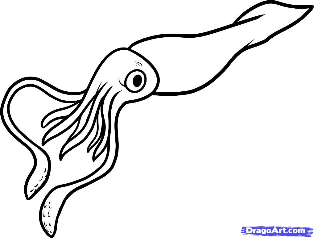 1018x771 Revisited Squid Coloring Pages Octopus Outline Az Giant