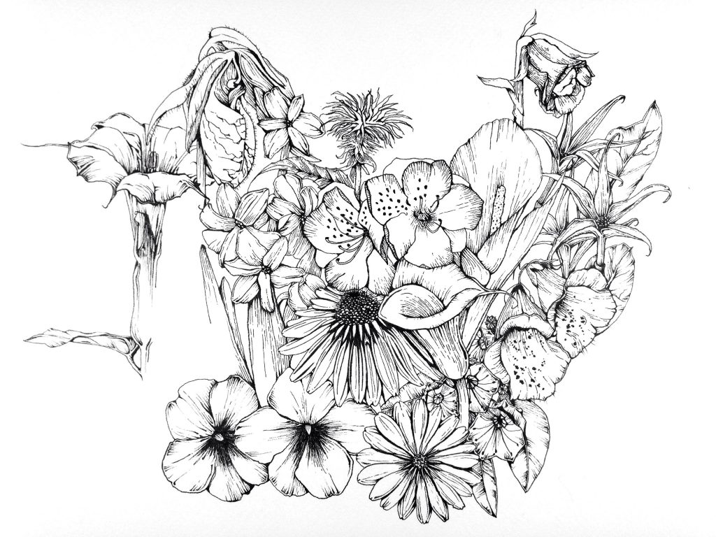 1024x768 February Flower Drawing Challenge Moongirl Art