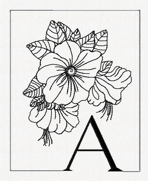 513x625 Flower Abc Htm
