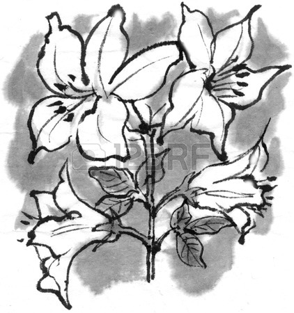 422x450 Azalea Stock Photo, Picture And Royalty Free Image. Image 39918096.